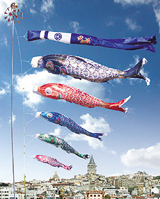 ���i�����̂ڂ�@�����P����@���z