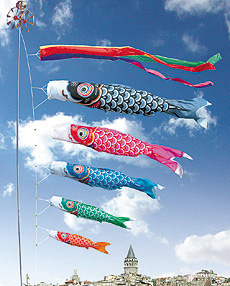 ���i�����̂ڂ�@�F�T��