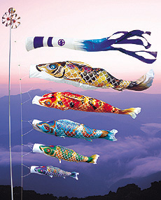 ���i�����̂ڂ�@�������F�T�V��@����