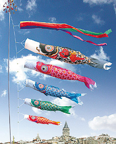 ���i�����̂ڂ�@�����Y�S�[���h��